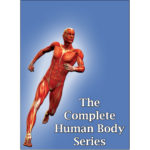 39 DVD's on the Human Body