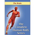 DVD about the Brain