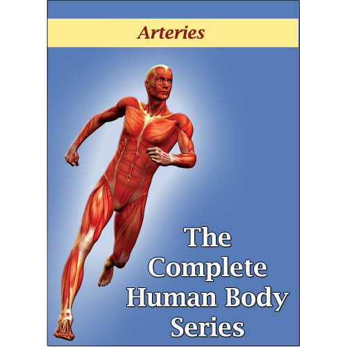 DVD about the Arteries: Highways of the body