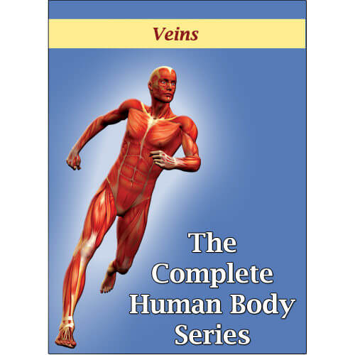 DVD about Veins: The Way to the Heart