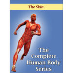 DVD about The Skin
