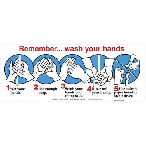 REMEMBER...WASH YOUR HANDS MIRROR MAGNET