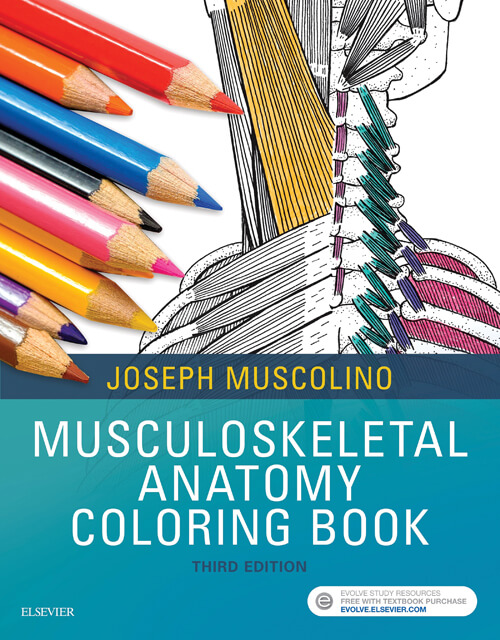 Musculoskeletal Anatomy Coloring Book, 3rd Edition 1