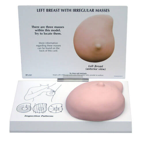 Breast Cancer Soft Tissue Model