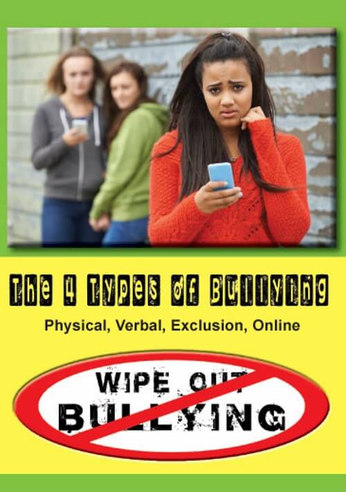 The 4 Types of Bullying - Physical, Verbal, Exclusion, Online - DVD 1