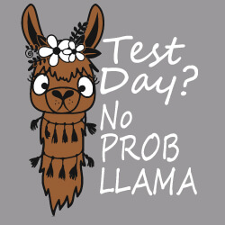 Predesigned Banner (Customizable): Test Day? No Prob-LLAMA 1