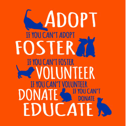 Predesigned Banner (Customizable): Adopt, Volunteer, Foster 2