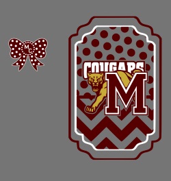 School Spirit Banner (Customizable): Cougars 2