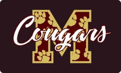 School Spirit Banner (Customizable): Cougars 2