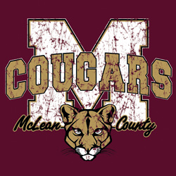 School Spirit Banner (Customizable): Cougars 25