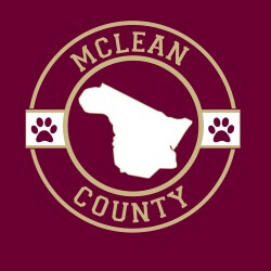School Spirit Banner (Customizable): McLean County 3
