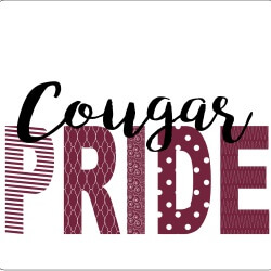 School Spirit Banner (Customizable): Cougar Pride 3