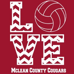 School Spirit Banner (Customizable): (Volleyball) Love 1