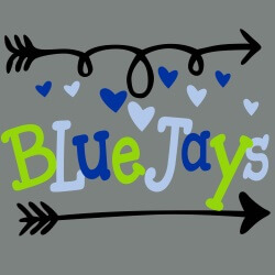 School Spirit Banner (Customizable): BlueJays 12