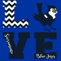 School Spirit Banner (Customizable): Love BlueJays 1