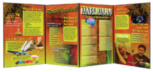 Effects & Hazards of Marijuana Folding Display