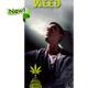 Legal Weed - Pamphlet (Set of 100) 1 Legal Weed - Pamphlet (Set of 100) 1