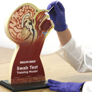 Swab Test Training Model