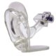 Full Size Normal Clear Ear Model 1 Full Size Normal Clear Ear Model