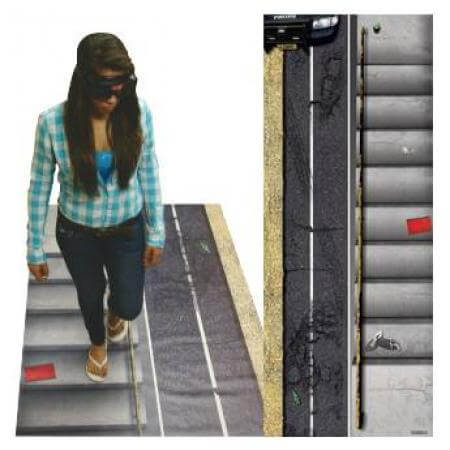 DIES Roadside Sobriety Test and Stairs Challenge Mat