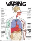 Harmful Effects Of Vaping Poster - NIMCO, Inc. | Prevention Awareness ...