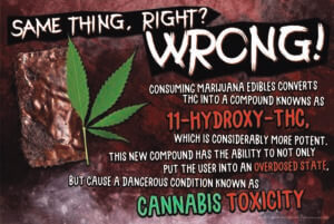 Dangers of Edibles: Same Thing Right? Wrong Poster