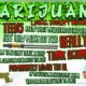 Dangers of Legal Marijuana