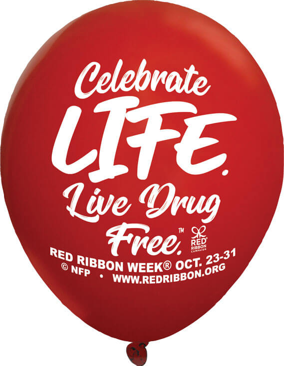 celebrate life live drug free essay