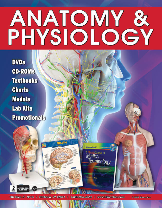 Anatomy 669 Digital Catalog