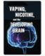 Vaping, Nicotine and the Developing Brain - DVD 1