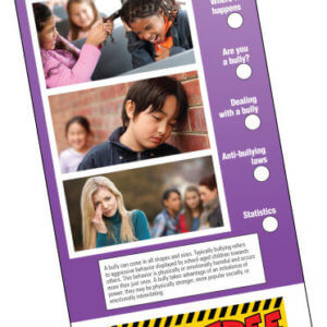 The Reality Of Bullying Slide Chart