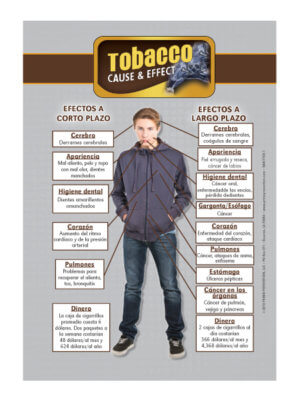 Cause & Effect: Tobacco Table Top Retractable Banner (11.5" x 16.5") - Spanish 8