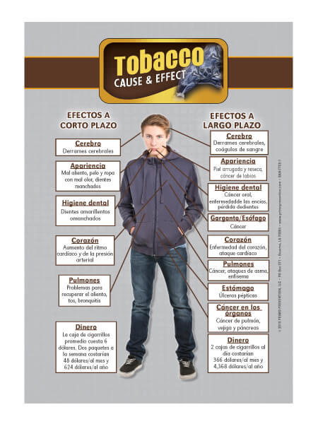 Cause & Effect: Tobacco Table Top Retractable Banner (11.5" x 16.5") - Spanish 1
