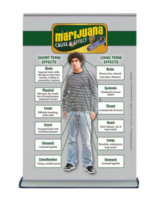 Cause & Effect: Marijuana Table Top Retractable Banner (11.5" x 16.5") 23
