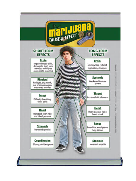 Cause & Effect: Marijuana Table Top Retractable Banner (11.5" x 16.5") 3
