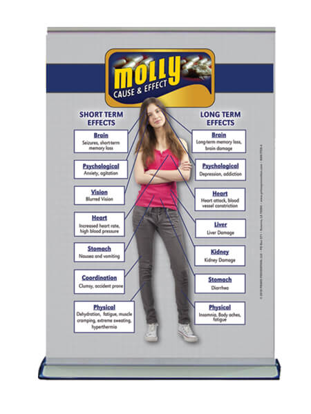 Cause & Effect: Molly Table Top Retractable Banner (11.5" x 16.5") 2