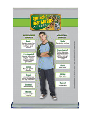 Cause & Effect: Synthetic Marijuana Table Top Retractable Banner (11.5" x 16.5") 22
