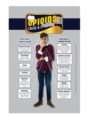 Cause & Effect: Opioids Table Top Retractable Banner (11.5" x 16.5") - Spanish 20