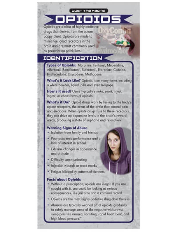 Just The Facts Rack Cards: Opioids 2