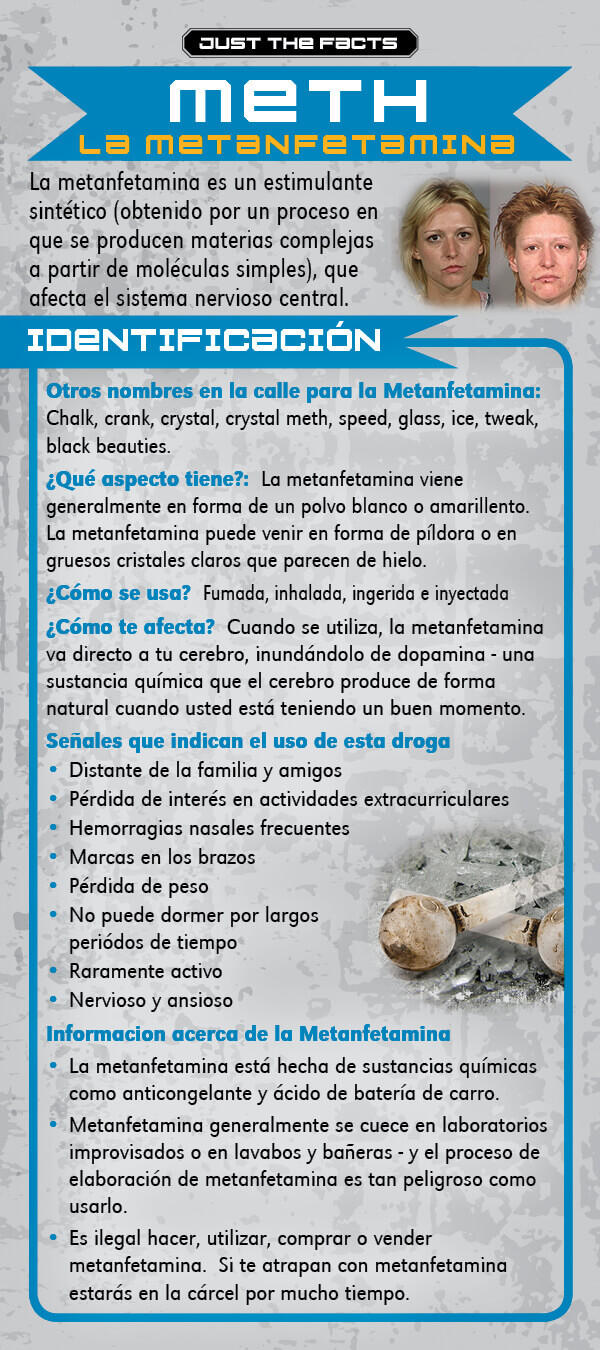 Just The Facts: Meth Rack Cards - Set of 100 ***Spanish*** 2 Just The Facts: Meth Rack Cards ***Spanish***