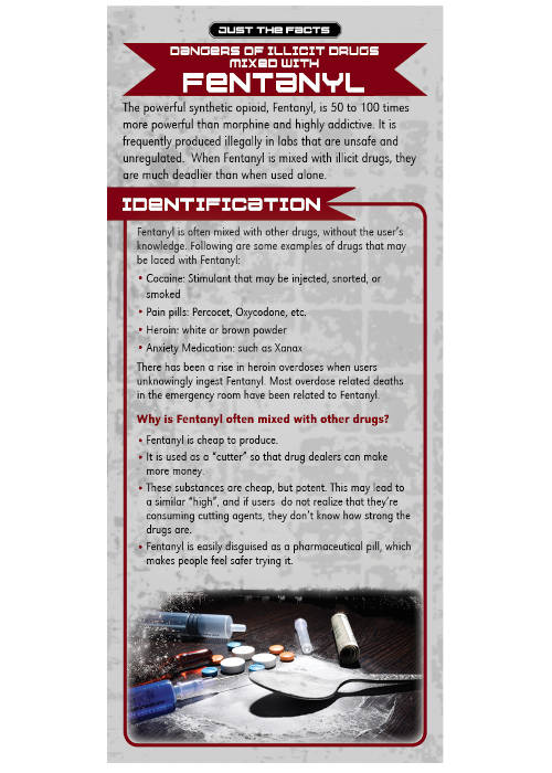 Just The Facts Rack Card: Illicit Drugs Mixed with Fentanyl - Set of 100 2