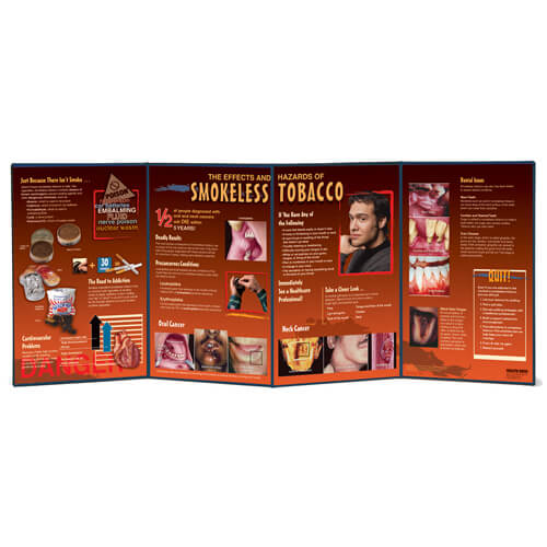 Effects & Hazards of Smokeless Tobacco - Folding Display