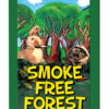 Smoke Free Forest DVD|Smoke-Free Forest - DVD|Timmy and Mr. Science Investigate Cigarettes DVD