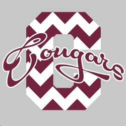 School Spirit Banner (Customizable): Cougars