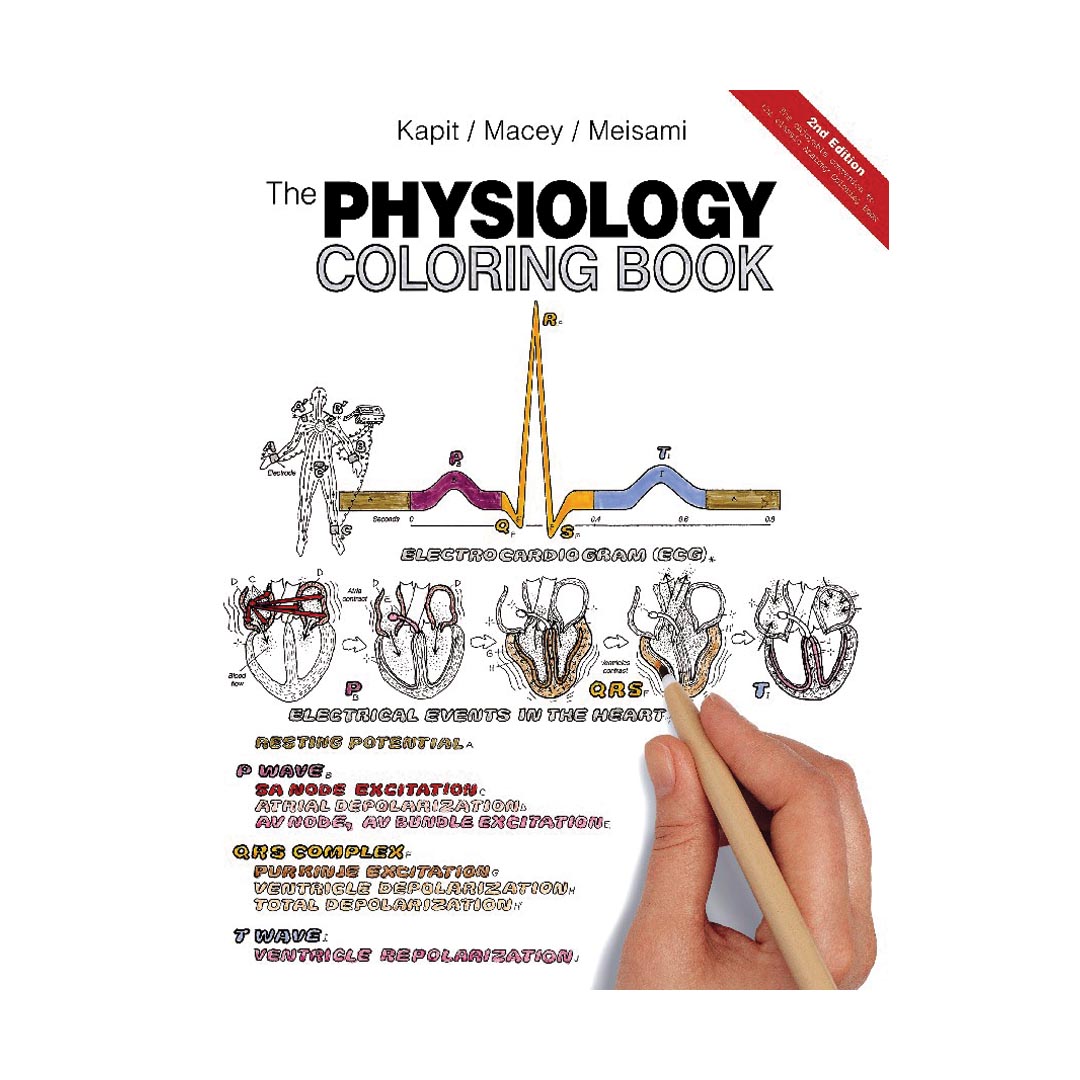 Physiology Coloring Book