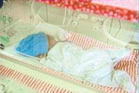 Fetal Abuse: The Effects of Drugs and Alcohol – DVD