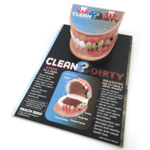 Clean Mouth/Dirty Mouth – Display
