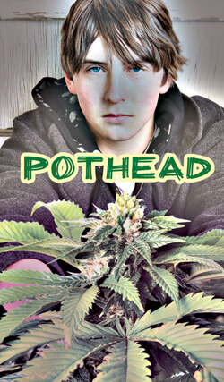 POTHEAD DVD POTHEAD DVD