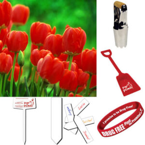 Plant the Promise Classroom Package RED Tulip ***ships after October 1st ***