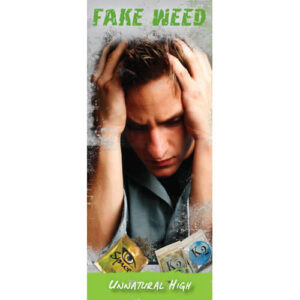 Fake Weed: Unnatural High – Pamphlets (Set of 100)